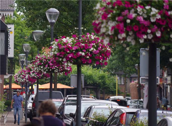 Flower-Baskets schmücken die Straßen. Fotos: privat