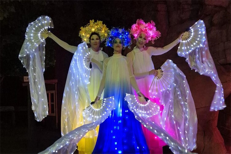 Flower Fairies