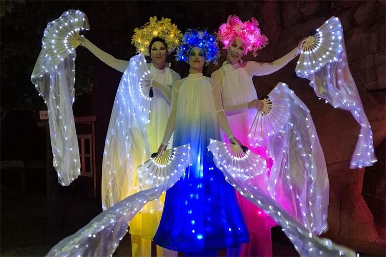 FlowerFairies