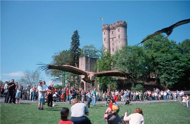 Flugshow an der Kasselburg. Quelle: Gundlach-Stiftungsfonds