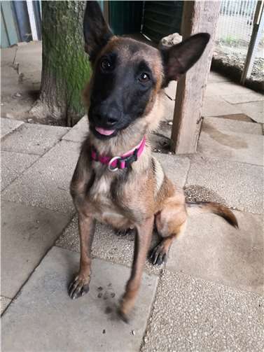 Flummy sucht ein Zuhause. Foto: privat