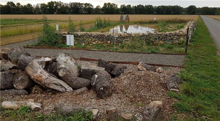 Förderung der Artenvielfalt im Schau- und Lehrgarten.