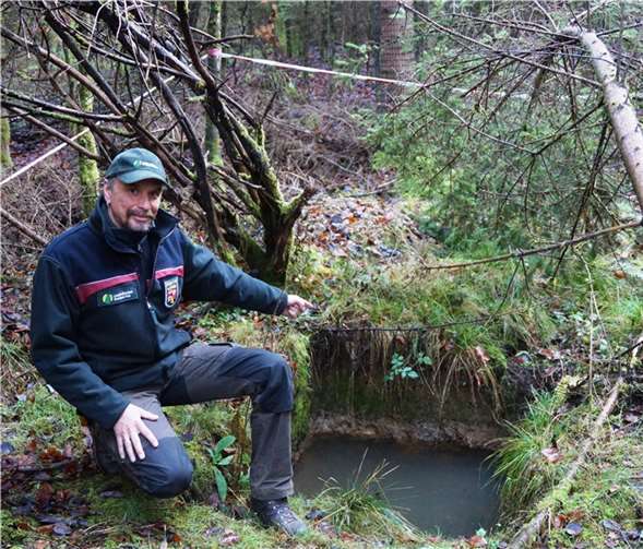 Förster Jens Willen zeigt an einem Bodeneinschlag, dass sich durch die tonreiche Erdschicht das künstlich angelegte Erdloch mit Wasser füllt. Die Fichten auf dieser Fläche wurzeln nicht tiefer als 20 Zentimeter. Landesforsten RLP / Dietmar Ebi