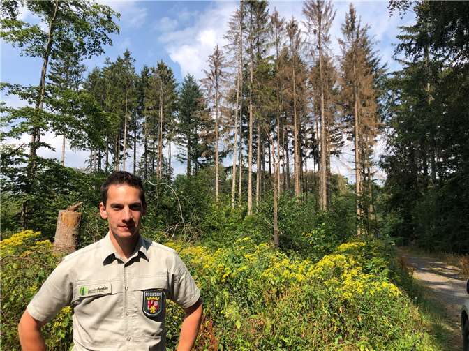 Förster Markus Brengmann ist besorgt um den Zustand der Bäume in de´n Wäldern der Verbandsgemeinde Kaisersesch.Foto: VG Kaisersesch
