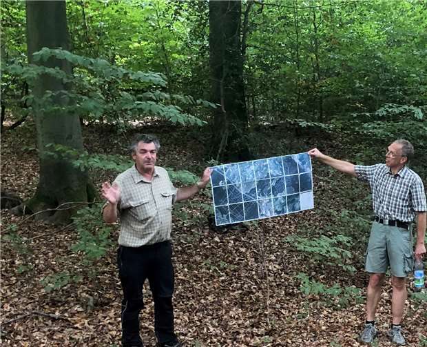 Förster Stephan Braun erläuterte den Sinziger Kommunalpolitiker die seit vielen Jahren betrieben nachhaltige Forstwirtschaft im Sinziger Harterscheid. Fotos: privat