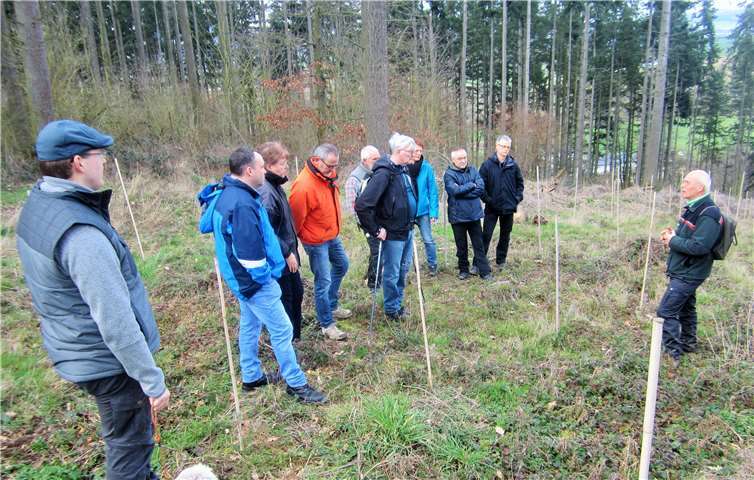 Förster Ullrich Bechtoldt und Teilnehmer des OGR Trimbs in der Aufforstungsmaßnahme am „Burgkopf“ bei der Waldbegehung Anfang März 2020.Foto: privat
