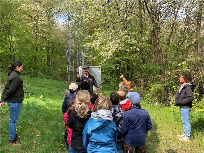 Förster und Waldpädagoge Dietmar Ebi erklärt den Kindern die Geheimnisse des Waldes.  Foto: Stadt Andernach