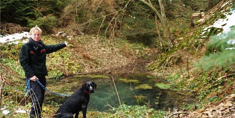 Försterin Bärbel Hohl zeigt in ihrem Revier Kaltenborn-Hochacht ein Gewässer, dessen Quelle im Staatswald im Bereich Müllers Kreuz liegt. Dietmar Ebi / Landesforsten RLP