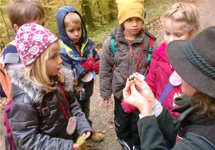 Försterin Lidwina Hamacher erklärt den Kindern aus dem Wershofener Kindergarten, welche Tiere sich von Eicheln ernähren. privat