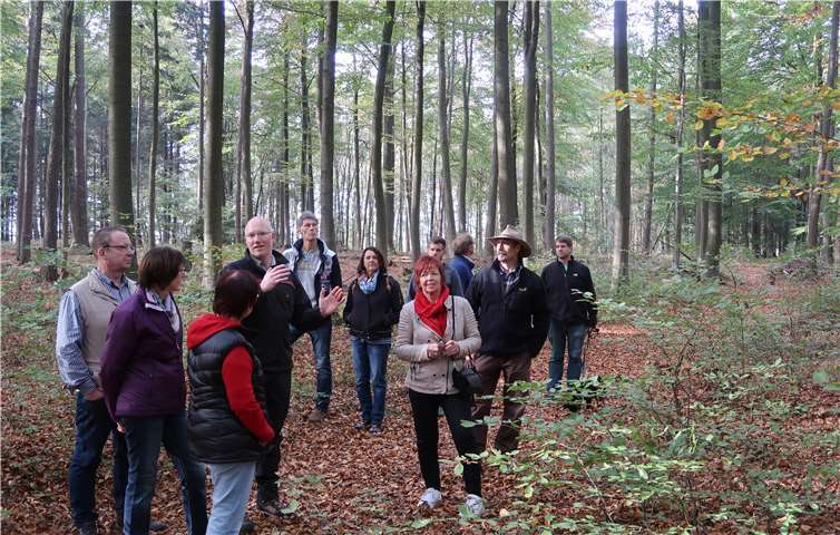 Forstamtsdirektor Sebastian Grobbel erklärte viele Details zu den geplanten Arbeiten im Forst. privat