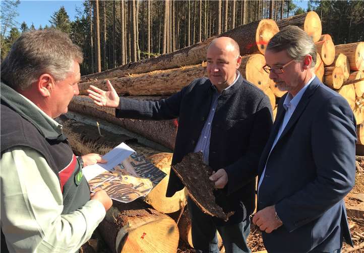 Forstamtsleiter Uwe Hoffmann, Revierleiter Ralf Winnen und Landtagsabgeordneten Lefkowitz bei der Waldbegehung.Foto: privat