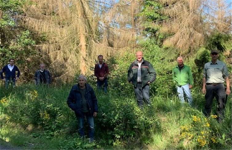 Forstamtsleiter Uwe Hoffmann und Revierleiter Thomas Tullius setzten Vertreter des Stadtrates Unkel über den Zustand des heimischen Waldes ins Bild. Das Foto dazu nahm Stadtbürgermeister Gerhard Hausen höchstpersönlich auf.: Foto: privat