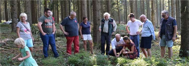 Forstamtsleiter Winand Schmitz erläutert den Vertretern der FDP die schwierige Situation, in der sich der Wald zurzeit befindet. Foto: FDP Ahrweiler
