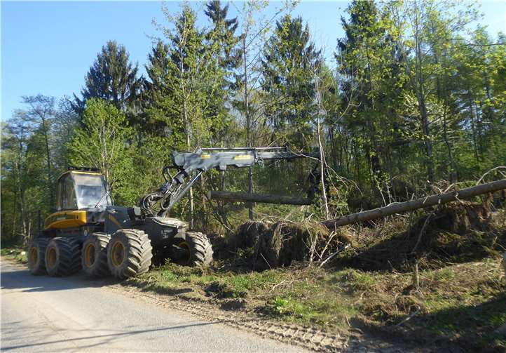 Forstharvester im Einsatz. privat