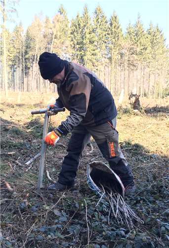 Forstwirt Dieter Nohles pflanzt auf einer Sturmwurffläche im Stadtwald Adenau Elsbeeren.Foto: Landesforsten.RLP / Dietmar Ebi