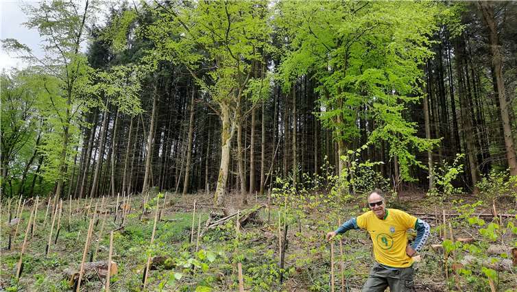 Mit Herzblut gegen den Borkenkäfers Forstwirt Uli Freund.Foto: privat