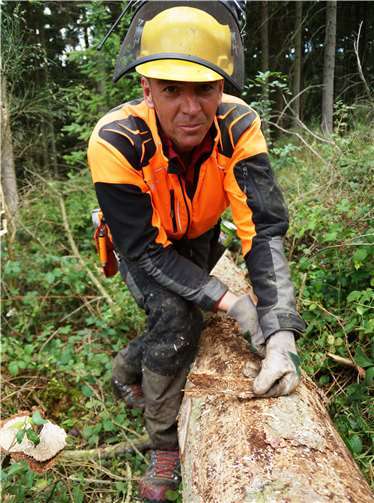 Forstwirt Werner Sonntag kontrolliert bei der Aufarbeitung von Käferholz im Stadtwald Adenau die Rinde auf Entwicklungsstadien des Buchdruckers.