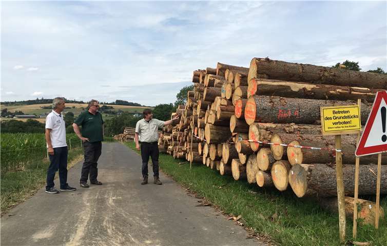 Forstwirtschaftsmeister Volker Pantenburg (rechts) erläutert dem zweiten Beigeordneten Andreas Retterath (links) und Förster Rolf Lück den Ablauf der Holzeinlagerung.Foto: Landesforsten.RLP.de / Dietmar Ebi