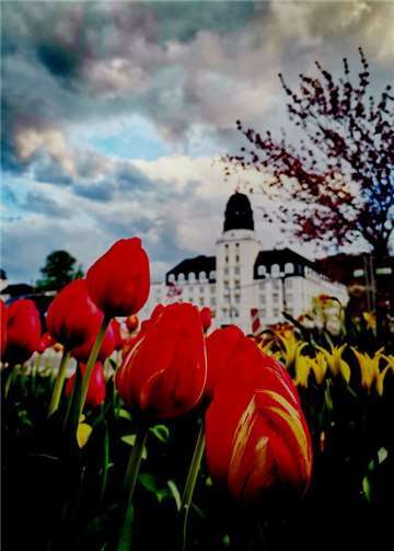 Foto: Agnieszka Legutko