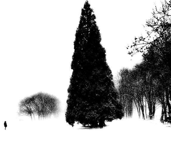 Foto: Agnieszka Legutko