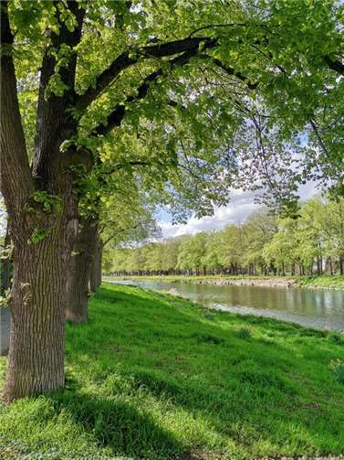 Foto: Agnieszka Legutko