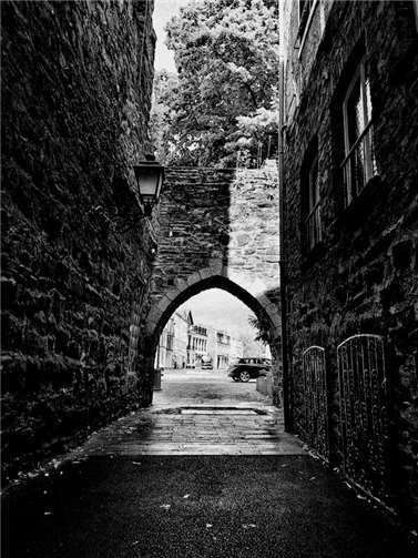 Foto: Agnieszka Legutko