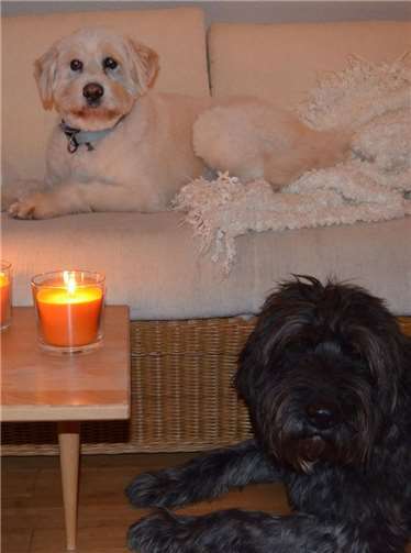 Foto: Antje Firmenich