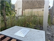 Foto: Daniel Robbel