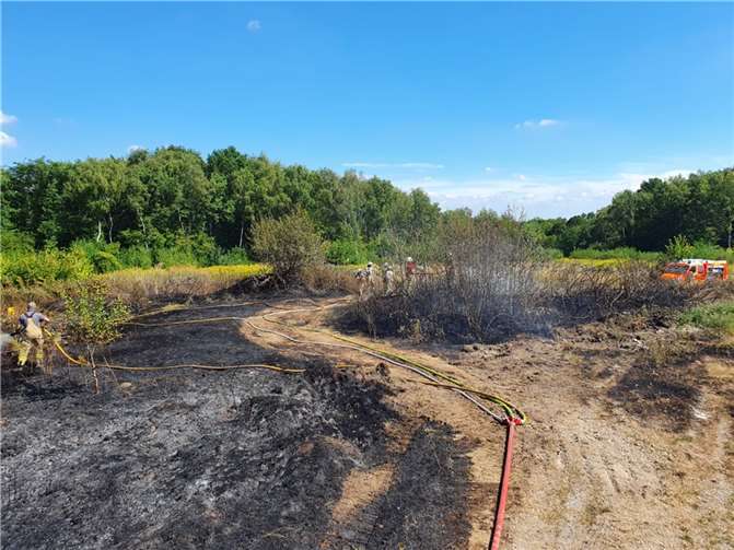 Westerwald: 2.000 Quadratmeter Gebüsch und Wiese brannten Foto: Feuerwehr VG Asbach
