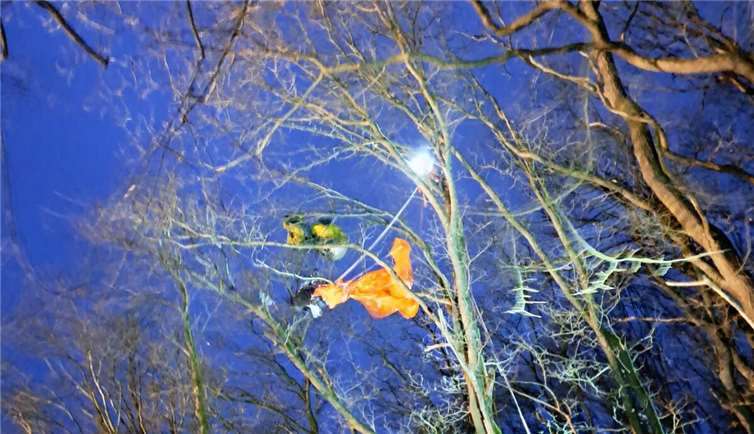 Foto: Feuerwehr VG Rengsdorf-Waldbreitbach