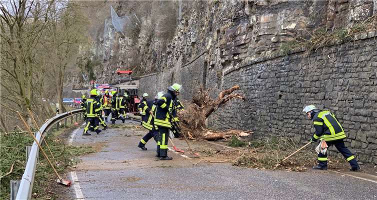 Umgestürzte Bäume, herabfallende Dachziegel und Stromausfälle Foto: Feuerwehren der Verbandsgemeinde Adenau