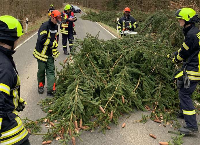 Umgestürzte Bäume, herabfallende Dachziegel und Stromausfälle Foto: Feuerwehren der Verbandsgemeinde Adenau