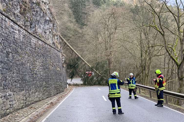Umgestürzte Bäume, herabfallende Dachziegel und Stromausfälle Foto: Feuerwehren der Verbandsgemeinde Adenau