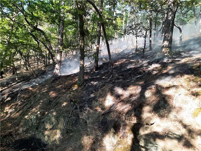 Foto: Feuerwehren der Verbandsgemeinde Loreley 