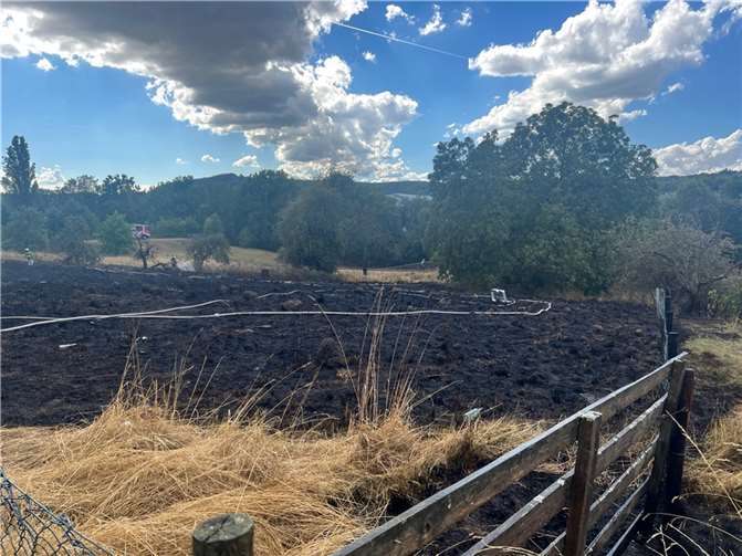 Foto: Freiwillige Feuerwehr Bad Honnef