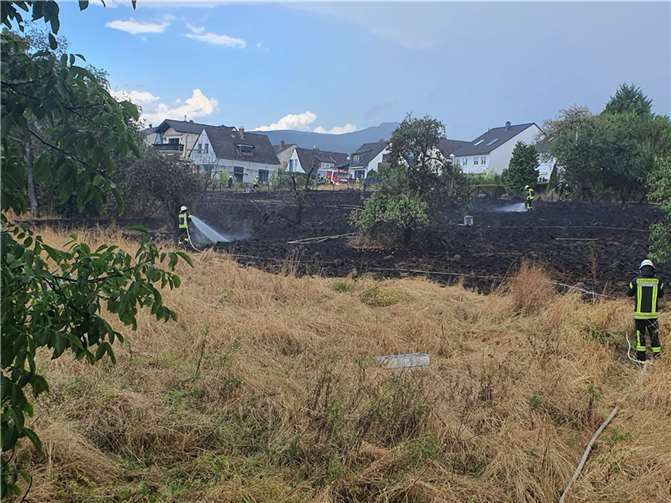 Foto: Freiwillige Feuerwehr Bad Honnef