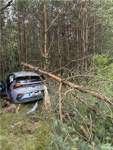 Foto: Freiwillige Feuerwehr Bad Honnef