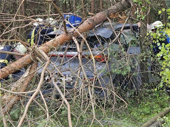 Foto: Freiwillige Feuerwehr Bad Honnef