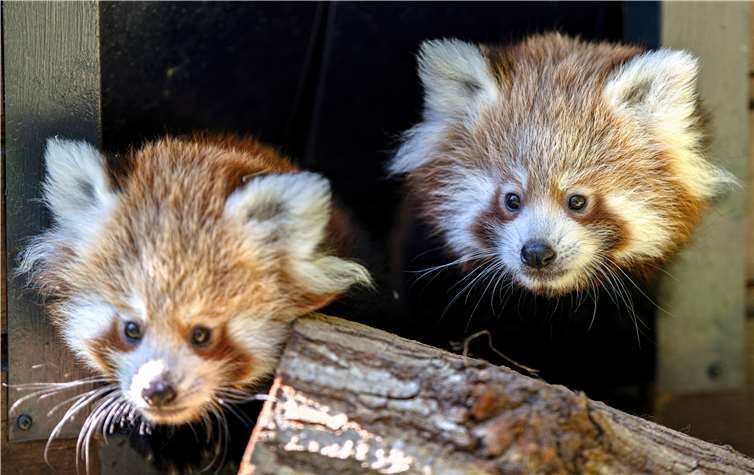 Foto: Marcus Propach