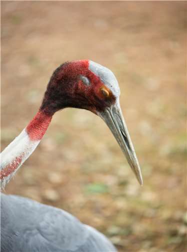 Foto: Marcus Propach