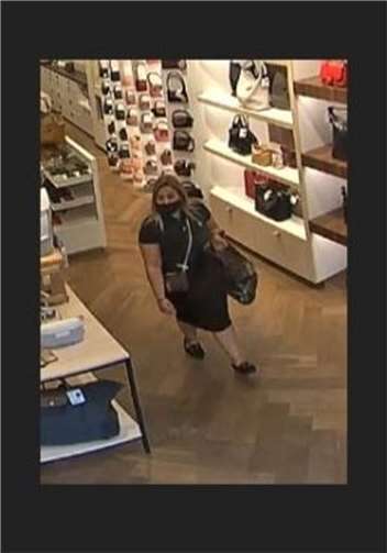 Foto: Polizei