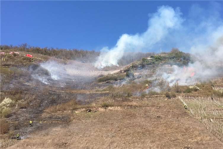 Foto: Polizei Cochem