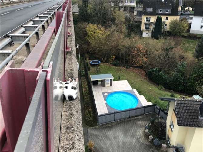 Foto: Polizeiinspektion Boppard