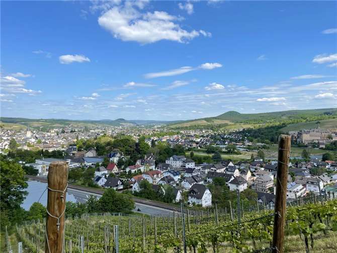 Quiz: Wie gut kennt ihr euch im Ahrtal aus? Foto: ROB