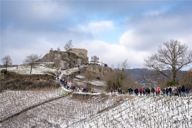 Foto: Simon Eickhoff