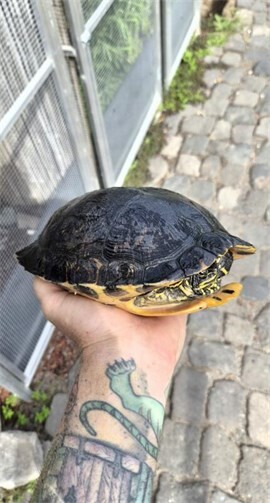 Foto: Stadt Mendig