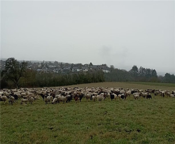 Foto: Timo Schneider