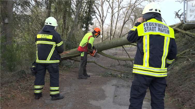 Abgedeckte Dächer, umgestürzte Bäume und mehr Foto: WinklerTV