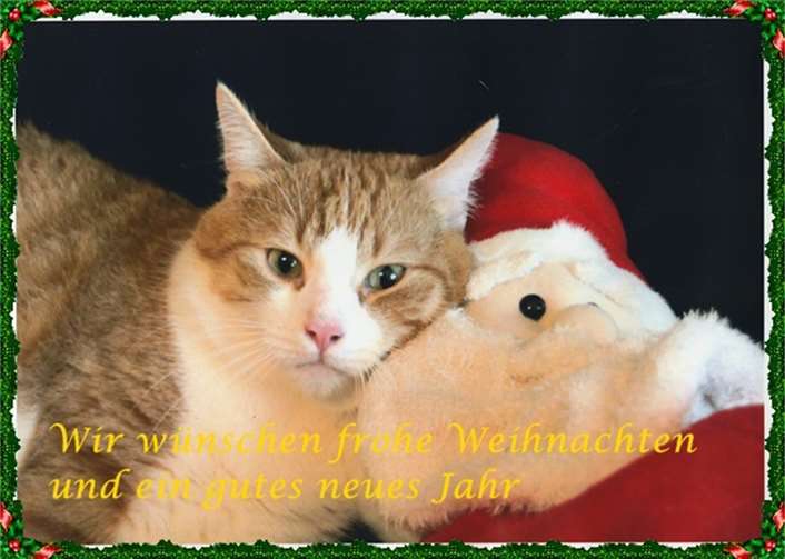 Foto: art-photographie-capl.de