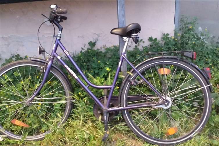 Foto des gestohlenen City-Tourenrads. Wer erkennt es?